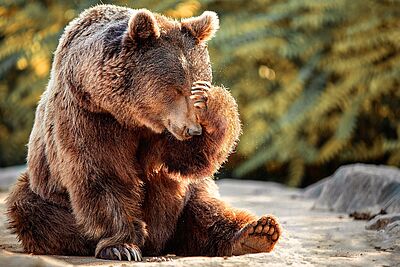 Agrandir l'image 6 sur 7, fenêtre modale