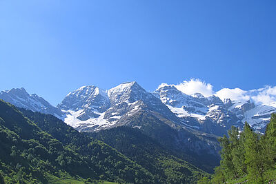 Agrandir l'image 1 sur 1, fenêtre modale