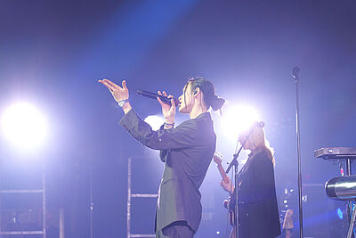 Agrandir l'image 4 sur 20, fenêtre modale